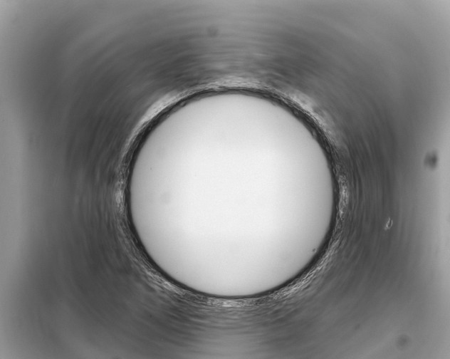 X0000099301266200805020748