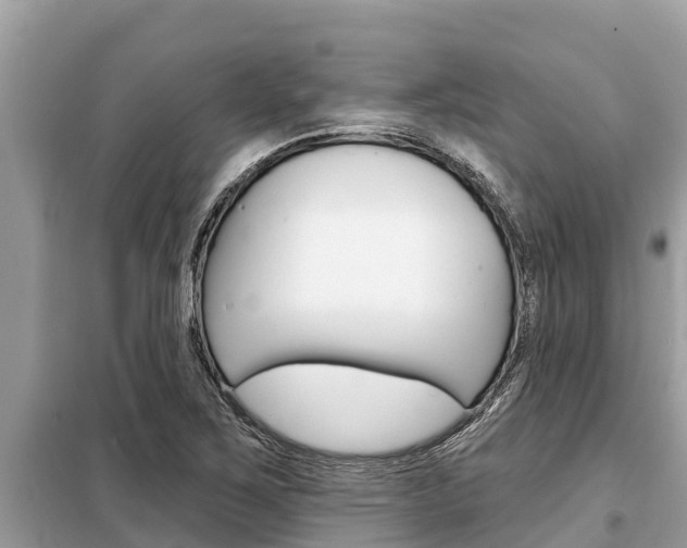 X0000099301267200805020748