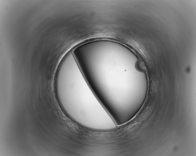 X0000099301268200805020748