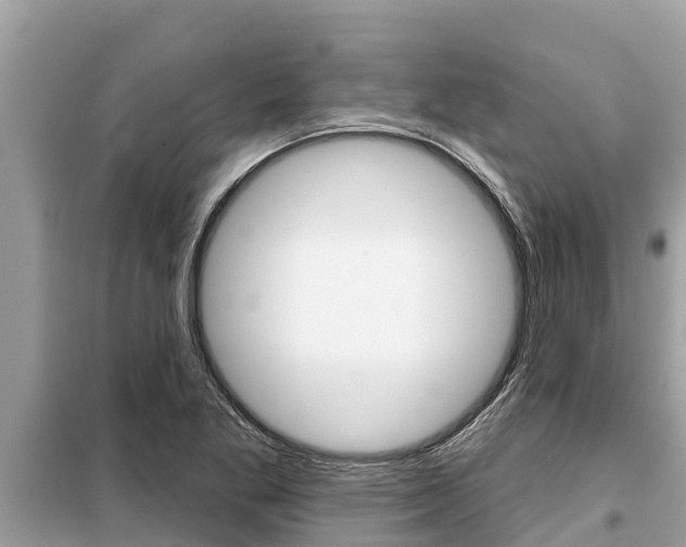 X0000099301269200805020748