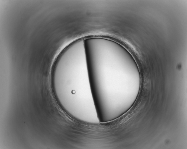 X0000099301270200805020748