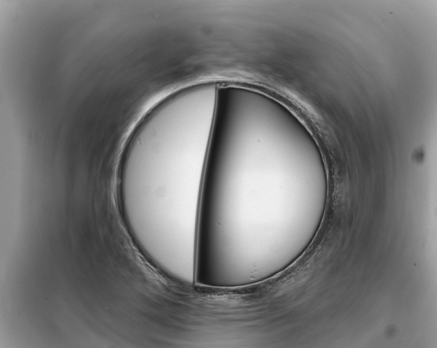 X0000099301272200805020748