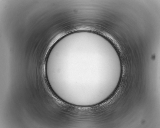 X0000099301274200805020748