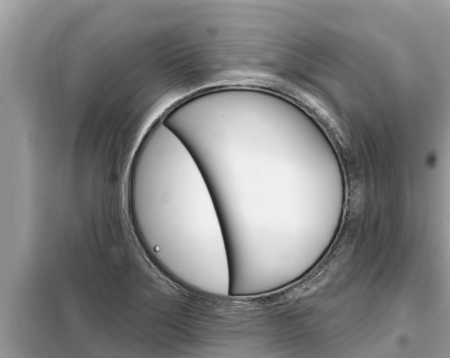 X0000099301275200805020748