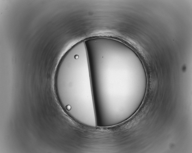 X0000099301277200805020748