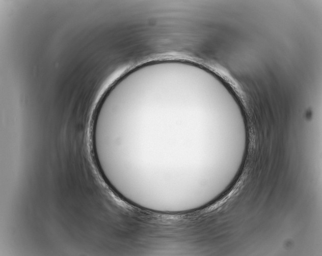 X0000099301278200805020748
