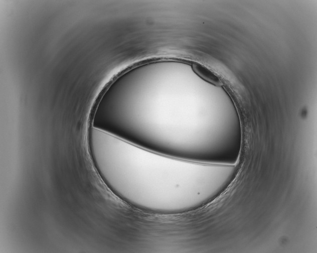 X0000099301280200805020748