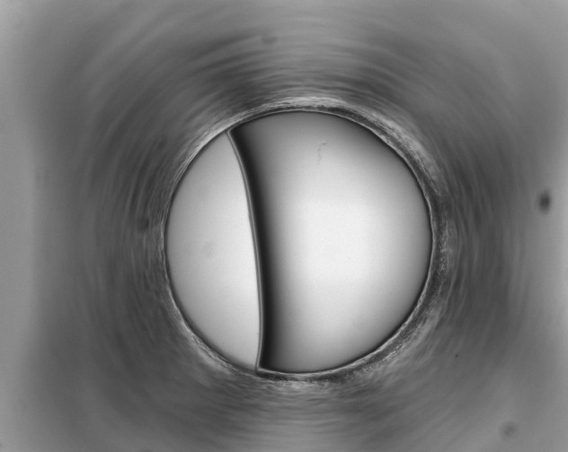 X0000099301281200805020748