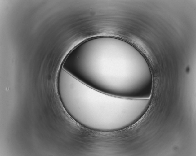 X0000099301284200805020748