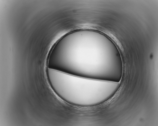 X0000099301285200805020748