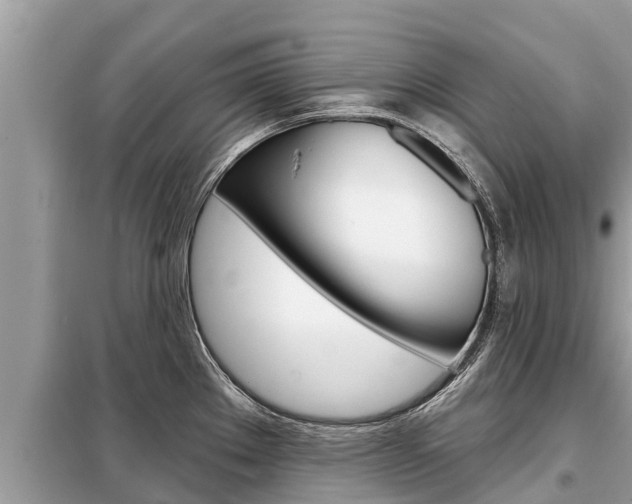 X0000099301289200805020748