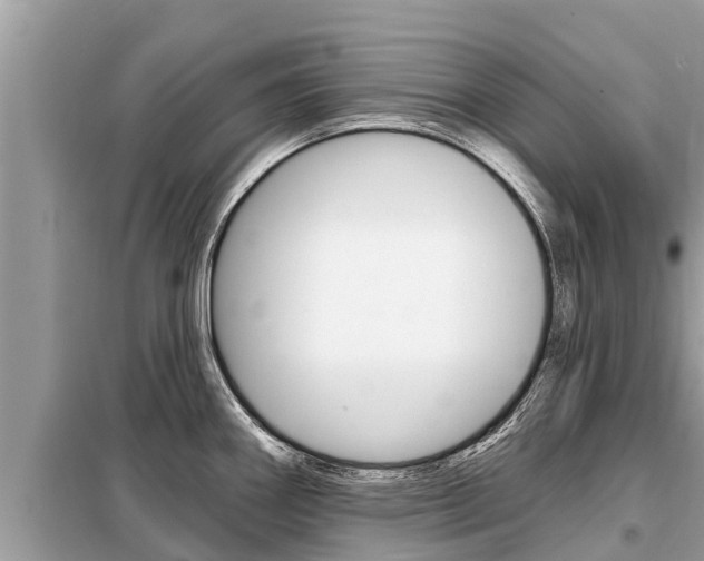 X0000099301290200805020748