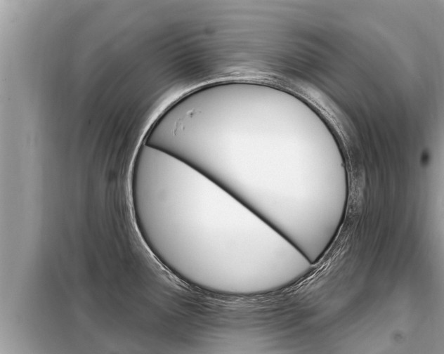 X0000099301291200805020748