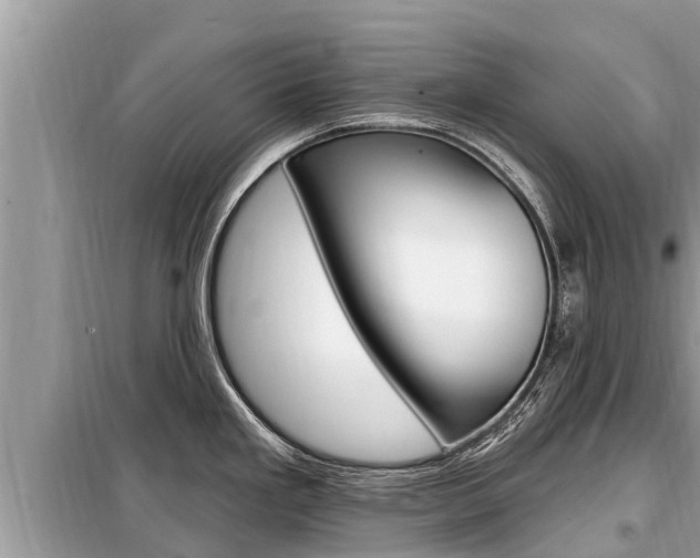 X0000099301293200805020748