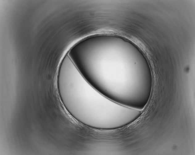 X0000099301296200805020748