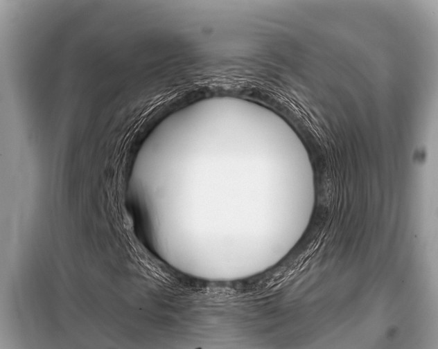 X0000099301297200805020747