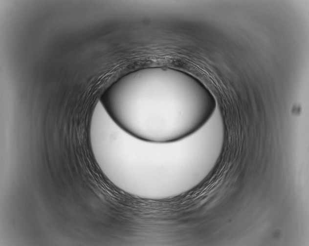 X0000099301298200805020747
