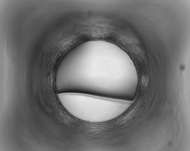 X0000099301300200805020747