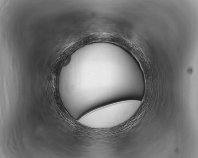 X0000099301301200805020747