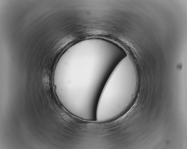 X0000099301305200805020747