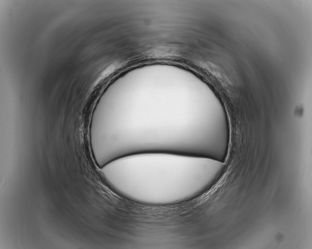 X0000099301306200805020747