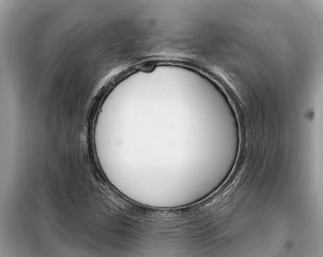 X0000099301307200805020747