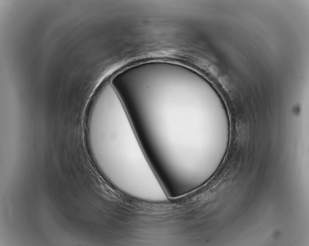 X0000099301308200805020747