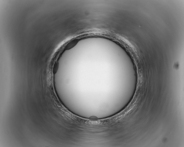 X0000099301310200805020747