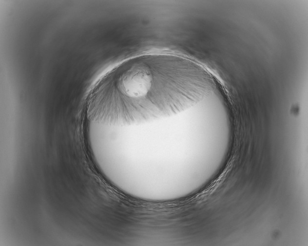 X0000099301311200805020747
