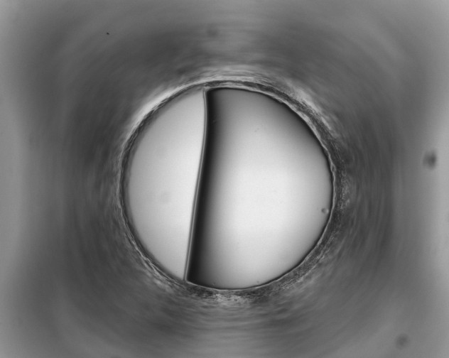 X0000099301312200805020747