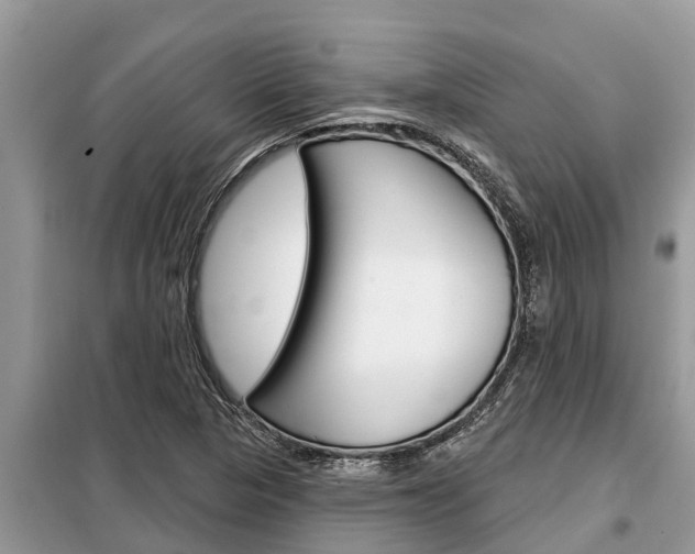 X0000099301313200805020747