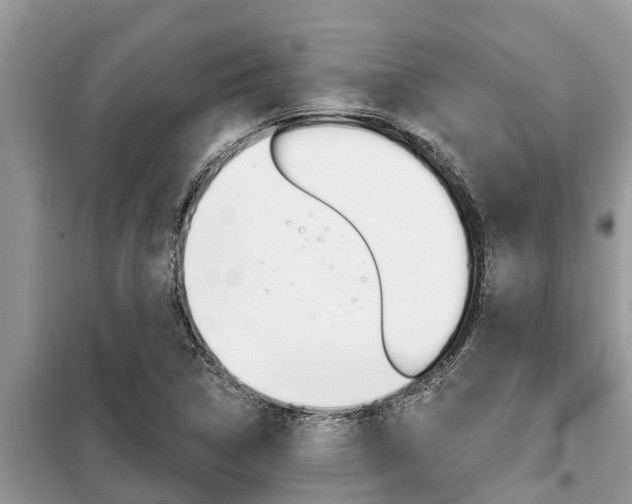 X0000099301314200805020747