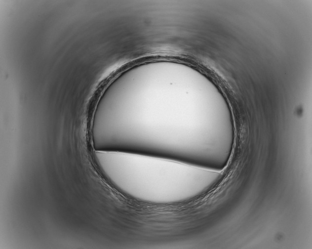 X0000099301315200805020747