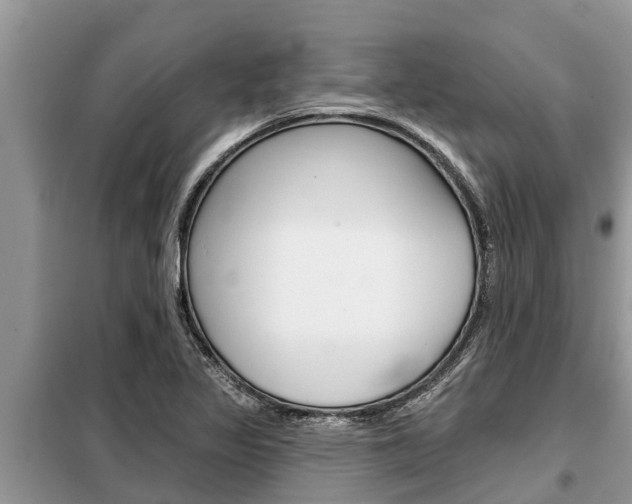 X0000099301317200805020747