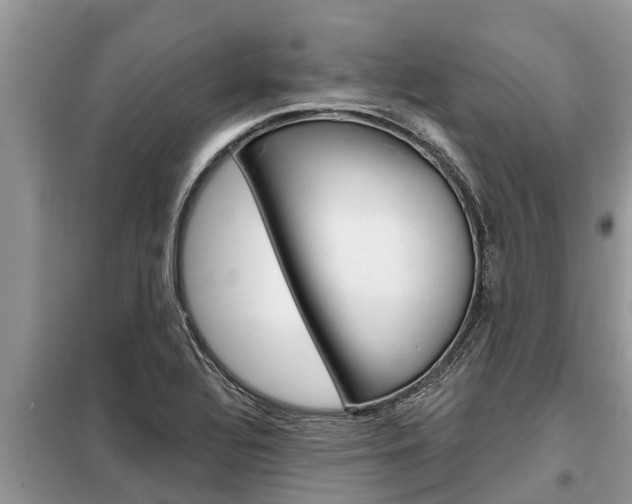 X0000099301320200805020747