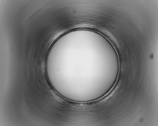 X0000099301321200805020747