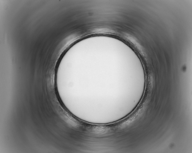 X0000099301322200805020747
