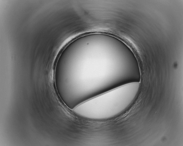 X0000099301324200805020747