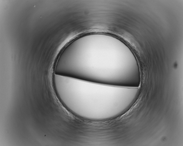X0000099301325200805020747