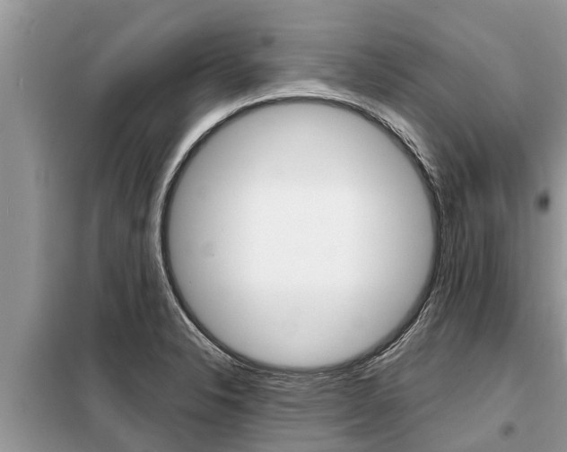 X0000099301326200805020747