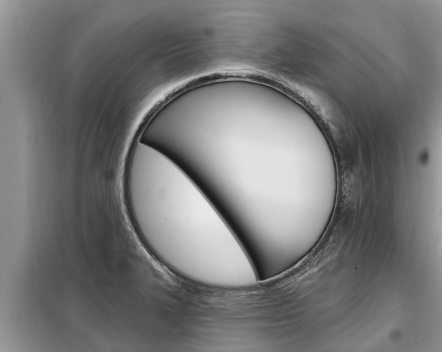 X0000099301327200805020747