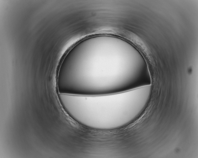 X0000099301328200805020747