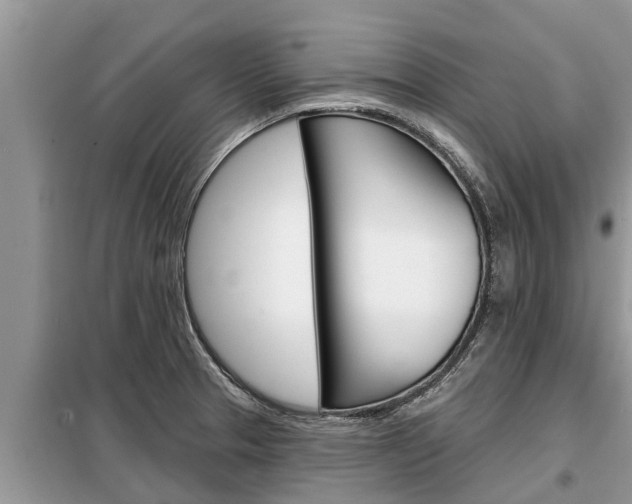 X0000099301329200805020747