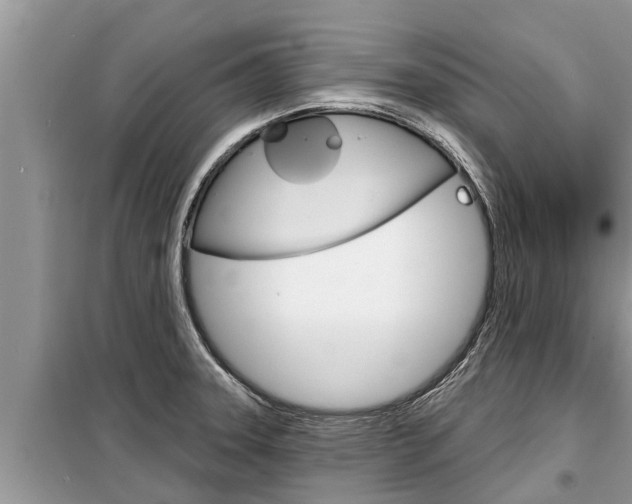 X0000099301331200805020748
