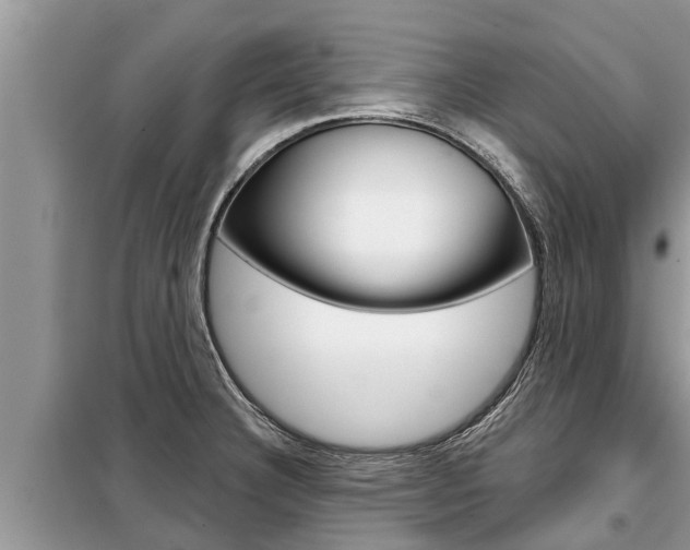 X0000099301332200805020748