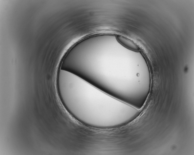 X0000099301333200805020748