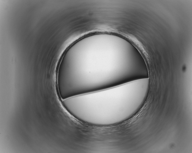 X0000099301335200805020748