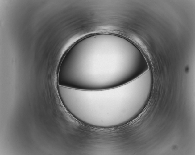 X0000099301336200805020748