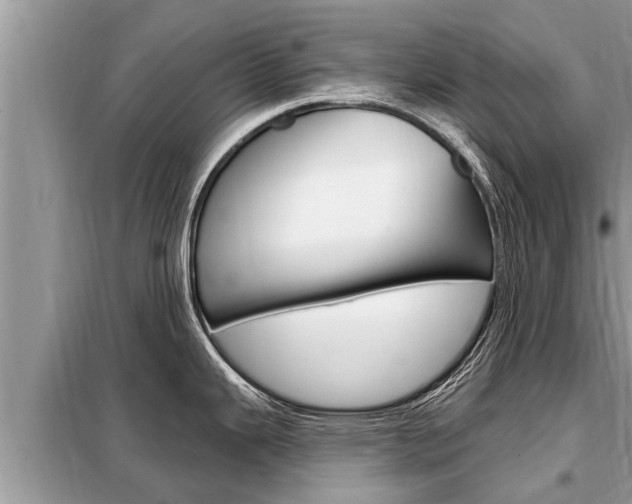 X0000099301343200805020748