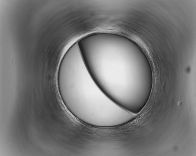 X0000099301344200805020748